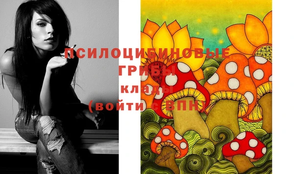 крисы Нефтегорск