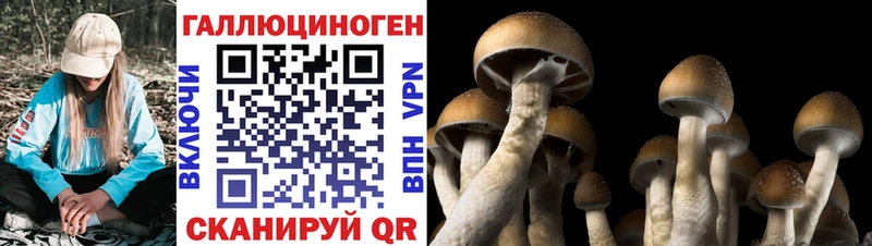 Галлюциногенные грибы GOLDEN TEACHER  как найти   Тула 