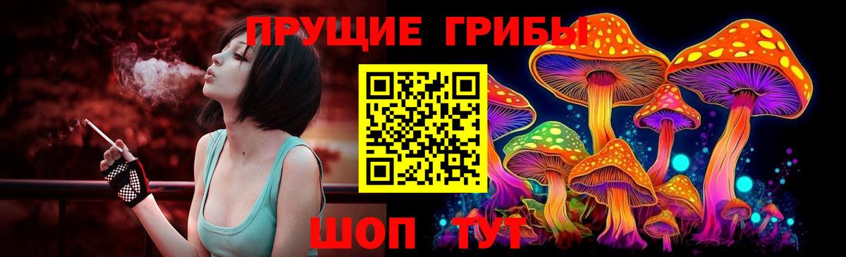 Тула  Псилоцибиновые грибы ЛСД  Вход с VPN  Псилоцибиновые грибы ЛСД 